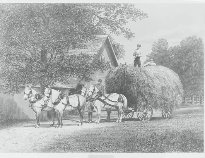 Framed Print : Men Working with Horsedriven Cart of Hay Framed Print : Men Working with Horsedriven Cart of Hay
