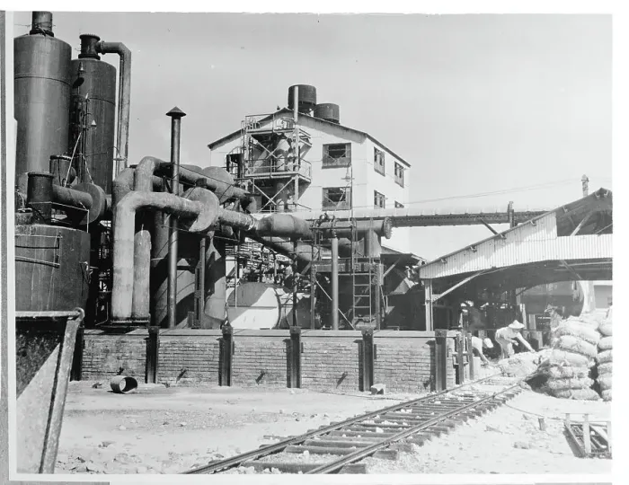 Framed Print : Men Working Near Transporting Railway at Plant Framed Print : Men Working Near Transporting Railway at Plant