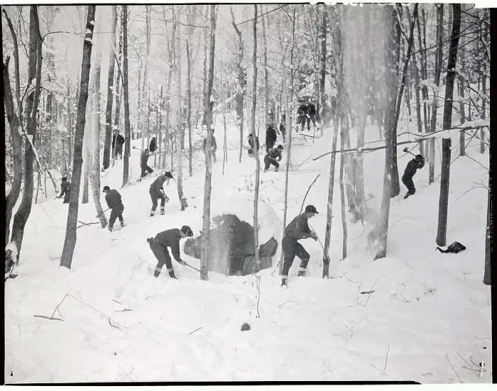 Framed Print : Men Working in Wooded Area Framed Print : Men Working in Wooded Area