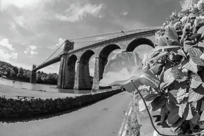 Framed Print : Menai Suspension Bridge Framed Print : Menai Suspension Bridge