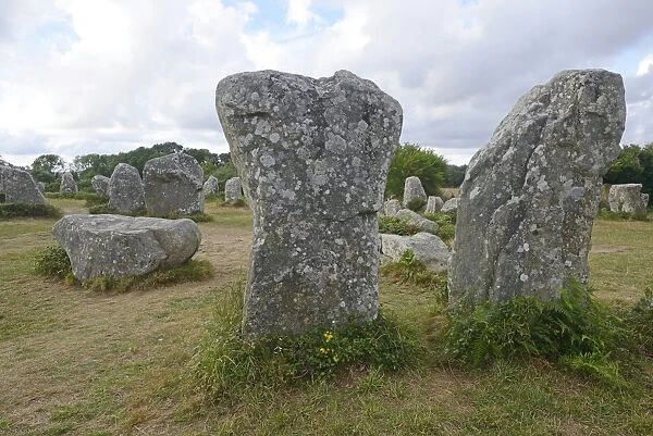 Menhirs near Erdeven, Departement Morbihan, Brittany, France