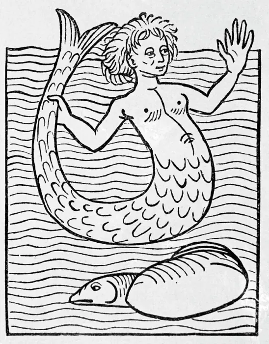 Framed Print : Mermaid In Sea; Fish Framed Print : Mermaid In Sea; Fish