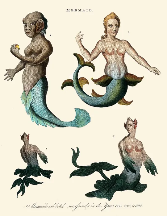 Framed Print : Three Mermaids Framed Print : Three Mermaids