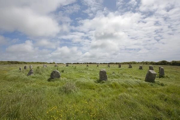 The Merry Maidens, a 3, 000 to 4, 000 year neo-lithic old stone circle, Lamorna, Cornwall, England, United Kingdom