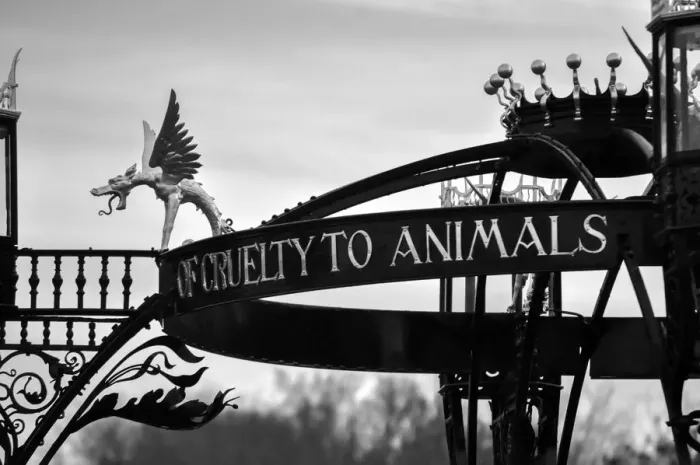 Framed Print : Metal Sculpture to the RSPCA, Richmond Framed Print : Metal Sculpture to the RSPCA, Richmond