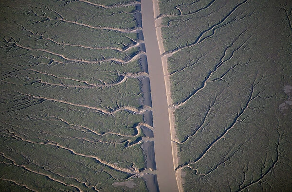 Mexico, Baja, Colorado River Delta, aerial view
