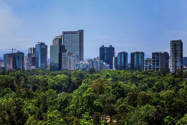 Mexico City Landscape