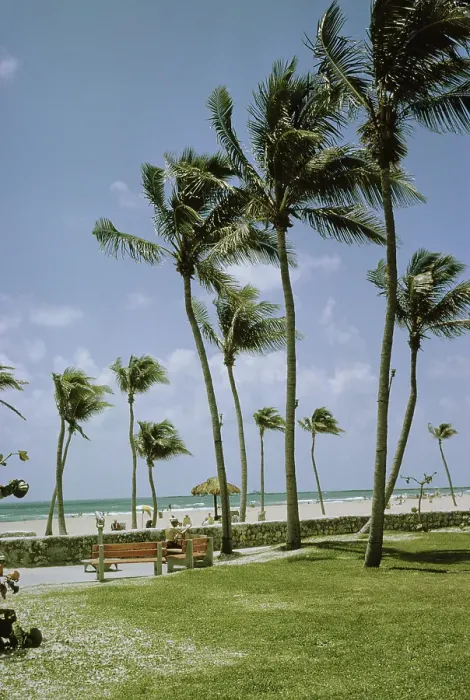 Framed Print : Miami Beach