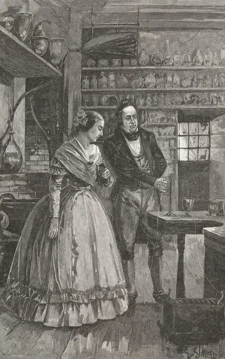 Framed Print : Michael and Mrs. Faraday Observing Experiment Framed Print : Michael and Mrs. Faraday Observing Experiment