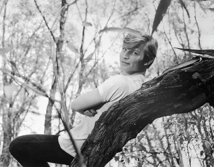 Framed Print : Michael York Leaning Against Tree Framed Print : Michael York Leaning Against Tree