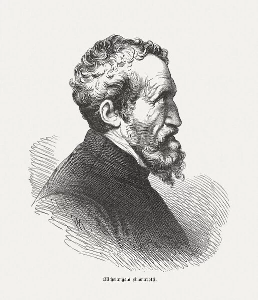 Michelangelo Buonarroti (Italian universal artist), published in 1878