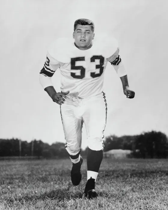 Framed Print : Mick Tingelhoff of Minnesota Vikings on Football Field Framed Print : Mick Tingelhoff of Minnesota Vikings on Football Field