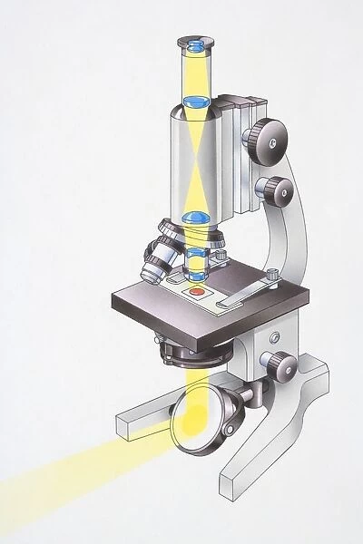 Microscope, light passing through lenses and focusing on glass slide, light also reflecting from mirror onto underside of object being viewed, angled view