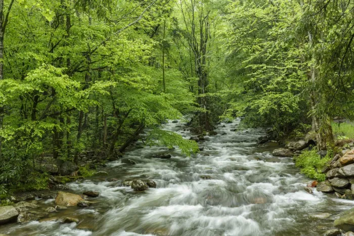 Framed Print : Middle Prong in spring, Great Smoky Mountains National Park, Tennessee, USA Framed Print : Middle Prong in spring, Great Smoky Mountains National Park, Tennessee, USA