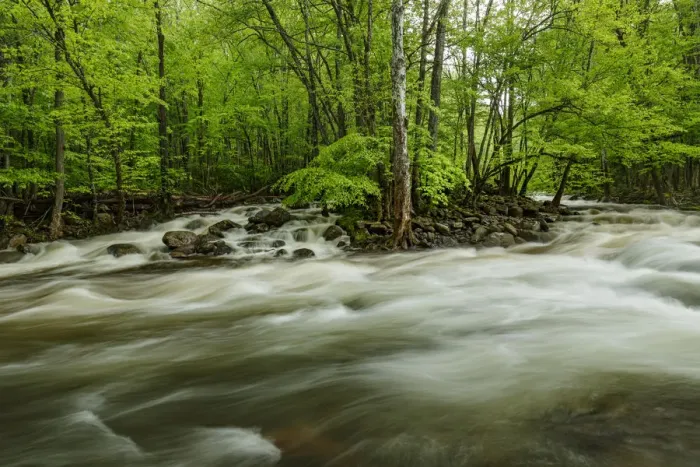 Framed Print : Middle Prong in spring, Great Smoky Mountains National Park, Tennessee, USA Framed Print : Middle Prong in spring, Great Smoky Mountains National Park, Tennessee, USA