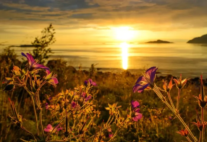 Framed Print : midsummer night in Troms Framed Print : midsummer night in Troms