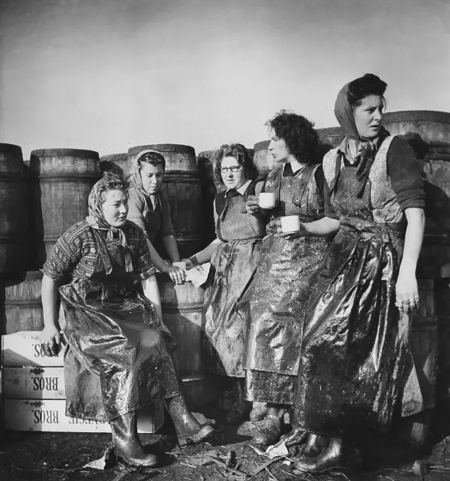 Framed Print : Migrant Workers Framed Print : Migrant Workers
