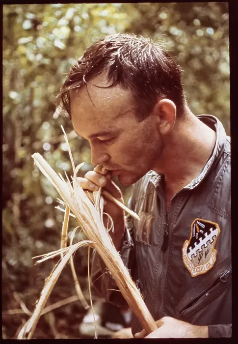 Framed Print : Mike Collins Eating Palm Hearts Framed Print : Mike Collins Eating Palm Hearts