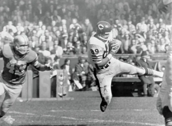 Framed Print : Mike Ditka Running with Ball Framed Print : Mike Ditka Running with Ball
