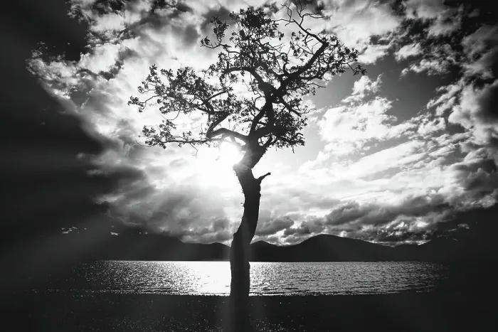 Framed Print : Milarrochy Bay Framed Print : Milarrochy Bay