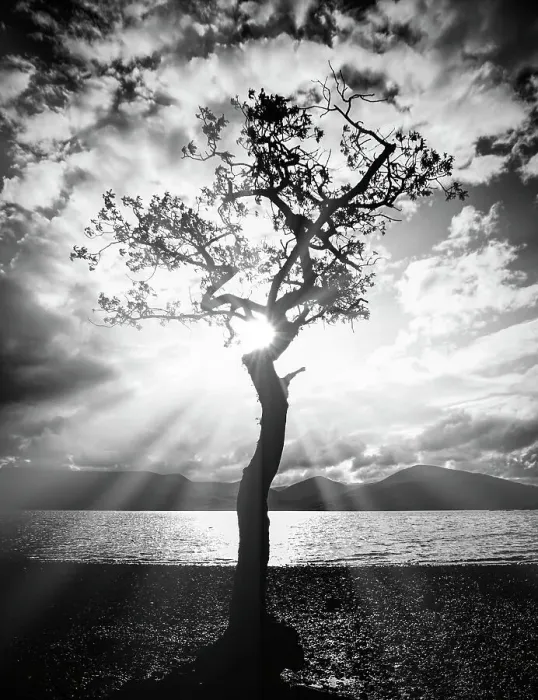 Framed Print : Milarrochy Bay Framed Print : Milarrochy Bay