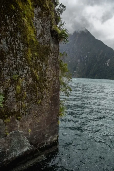 Framed Print : Milford Sound Framed Print : Milford Sound