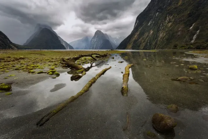 Framed Print : Milford Sound Framed Print : Milford Sound