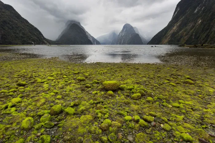 Framed Print : Milford Sound Framed Print : Milford Sound