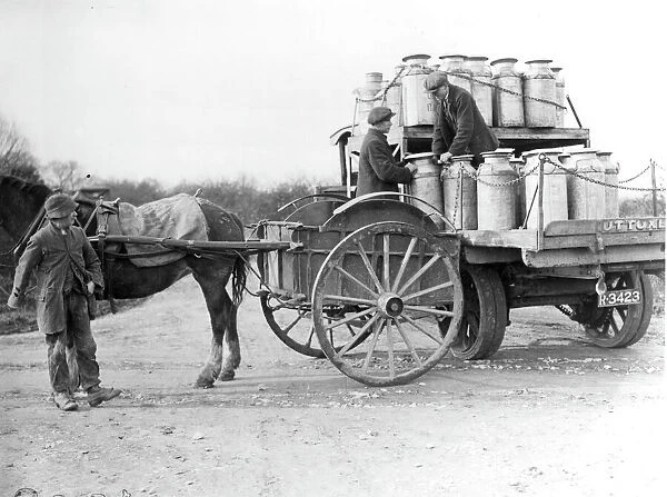 Milk Cart. A horse drawn milk cart