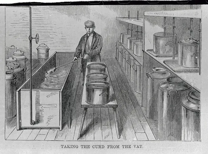 Framed Print : Milk Curdling Vat Being Used Framed Print : Milk Curdling Vat Being Used