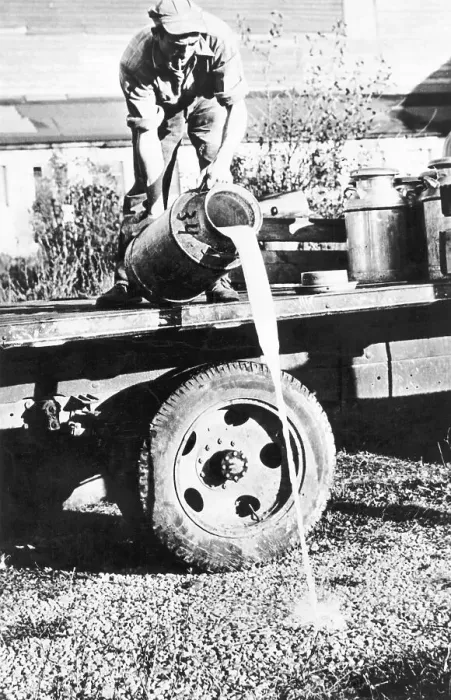 Framed Print : Milk Farmer Dumping Milk From Truck Framed Print : Milk Farmer Dumping Milk From Truck