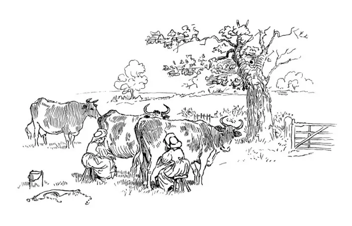 Framed Print : Two milkmaids milking cows in a field Framed Print : Two milkmaids milking cows in a field