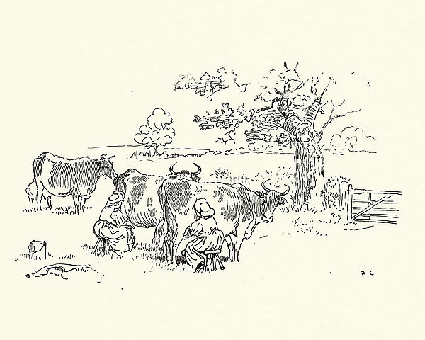 Milkmaids milking cows in the field, Victorian, 19th Century