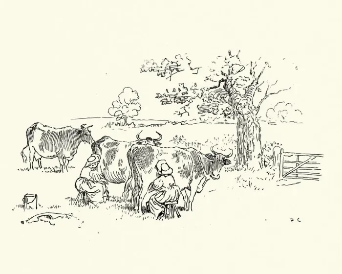 Framed Print : Milkmaids milking cows in the field, Victorian, 19th Century Framed Print : Milkmaids milking cows in the field, Victorian, 19th Century
