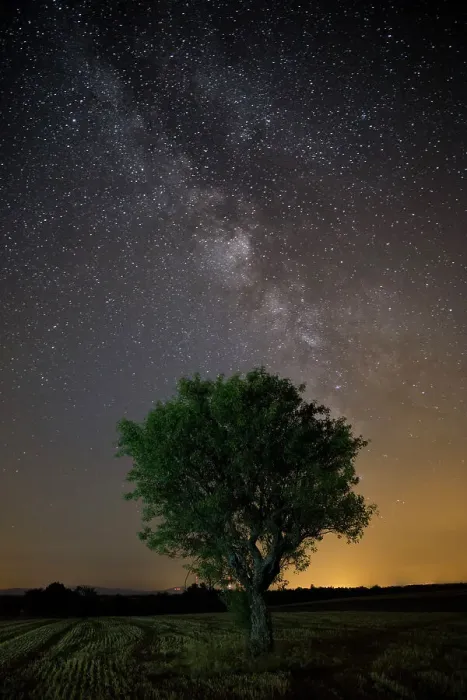 Framed Print : Milky Way over olive tree in Provence, France Framed Print : Milky Way over olive tree in Provence, France