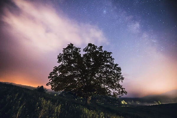 Cream. The milky way rising over the Blue Ridge Parkway with creamy colored