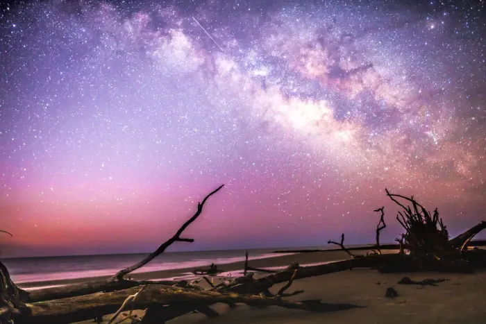 Framed Print : Milky Way Roots Framed Print : Milky Way Roots