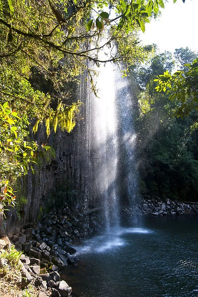 Millaa Millaa Falls, Atherton Tableland, Queensland, Australia