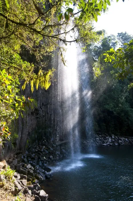 Framed Print : Millaa Millaa Falls, Atherton Tableland, Queensland, Australia Framed Print : Millaa Millaa Falls, Atherton Tableland, Queensland, Australia
