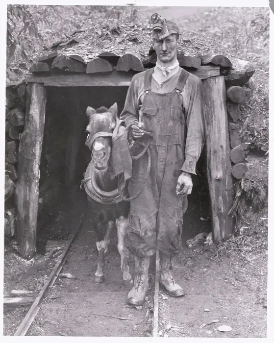 Framed Print : Miner with Pony Framed Print : Miner with Pony
