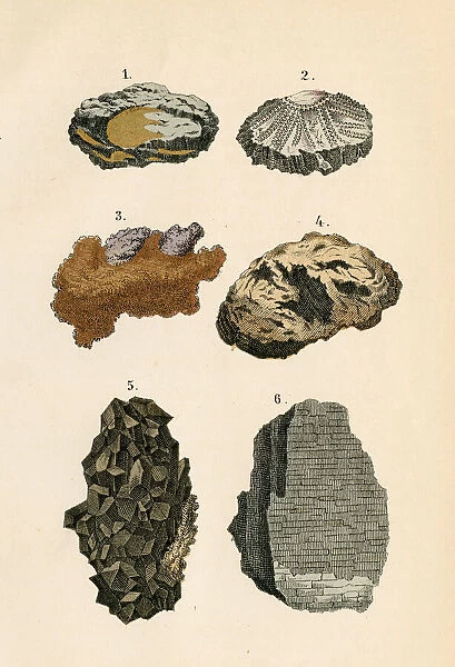 Minerals rocks engraving 1872