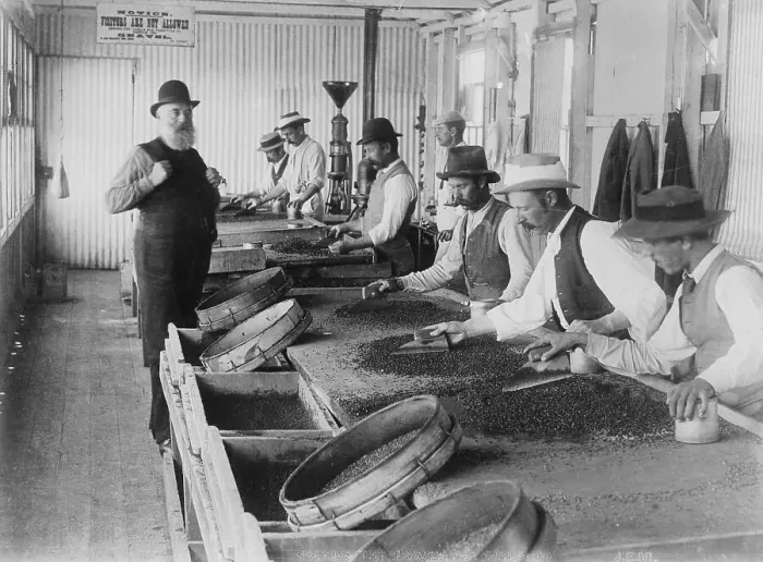 Framed Print : Miners Sorting Diamonds from Gravel Framed Print : Miners Sorting Diamonds from Gravel
