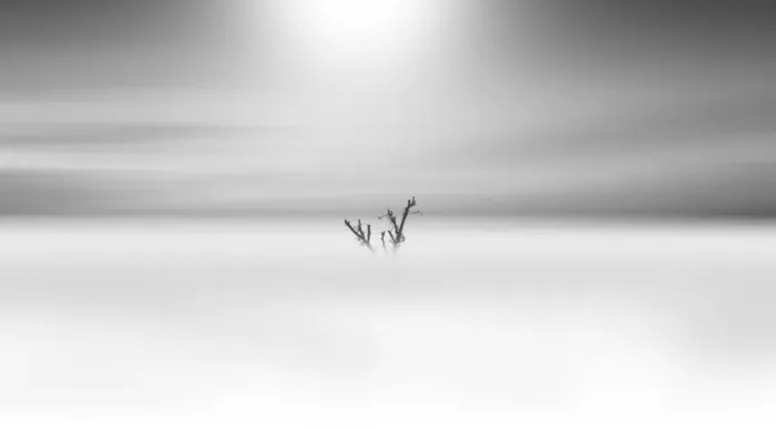 Framed Print : Minimalist submerged tree trunk Framed Print : Minimalist submerged tree trunk