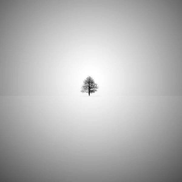 Minimalist tree in black and white illustration and art print