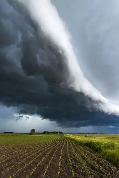 Framed Print : Minnesota Arcus cloud, USA Framed Print : Minnesota Arcus cloud, USA