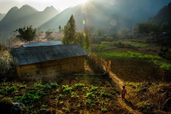 Framed Print : One minority child coming to a village, Vietnam Framed Print : One minority child coming to a village, Vietnam
