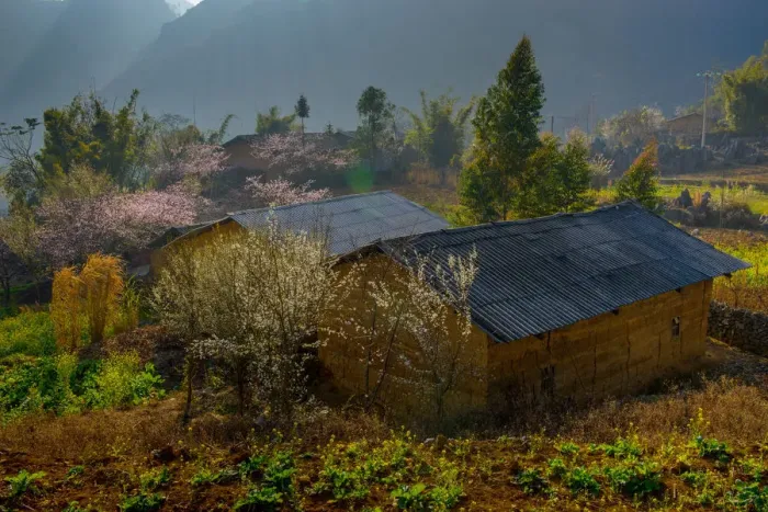 Framed Print : Minority village landscape in Ha Giang, Vietnam Framed Print : Minority village landscape in Ha Giang, Vietnam