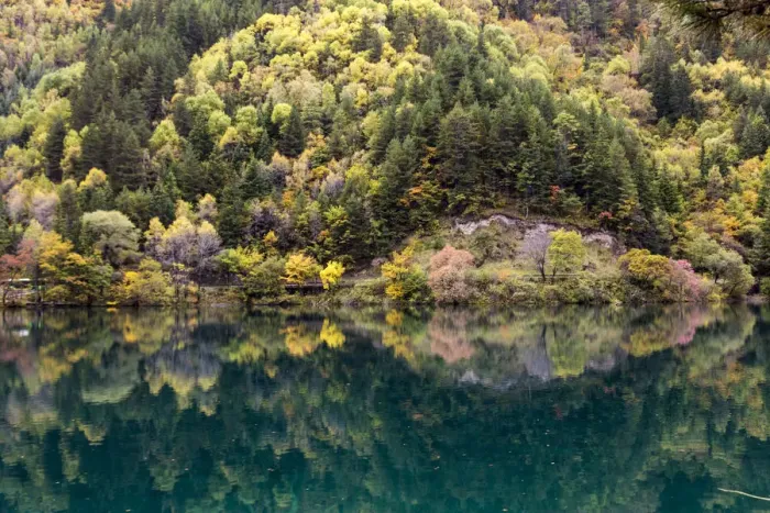 Framed Print : Mirror lake in autumn, Jiuzhaigou Valley Framed Print : Mirror lake in autumn, Jiuzhaigou Valley