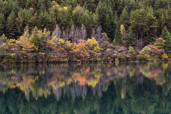 Mirror lake in autumn, Jiuzhaigou Valley