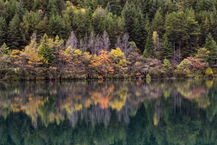 Framed Print : Mirror lake in autumn, Jiuzhaigou Valley Framed Print : Mirror lake in autumn, Jiuzhaigou Valley